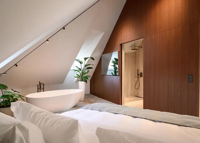 Zlata Ladjica Boutique Hotel Lublana